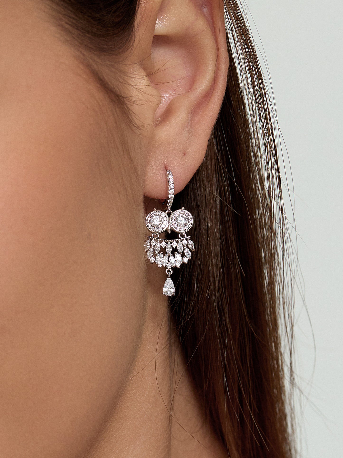 Owl Earrings