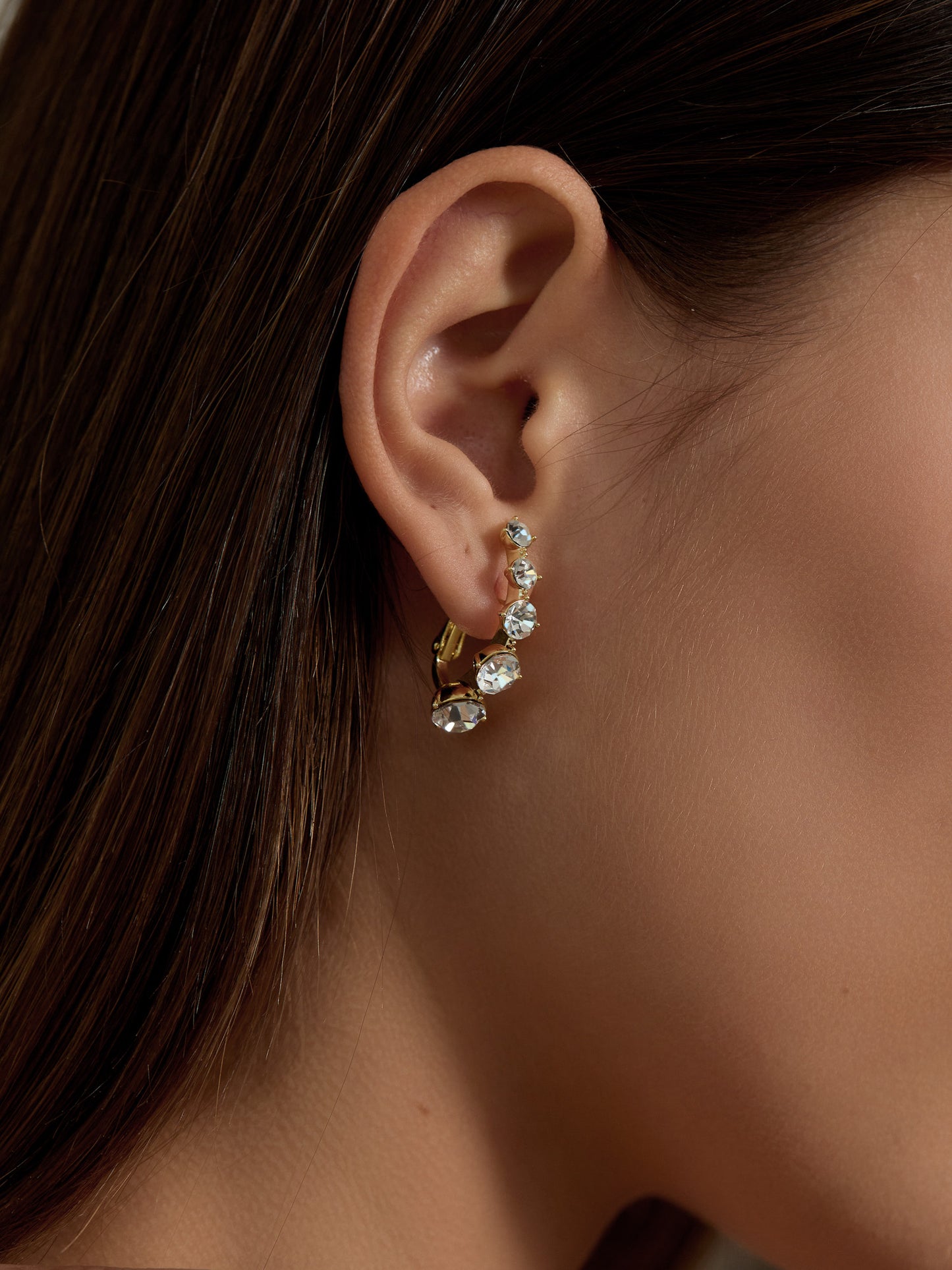 Tiara Earrings